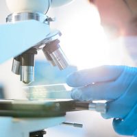 A scientist placing a slide under a microscope